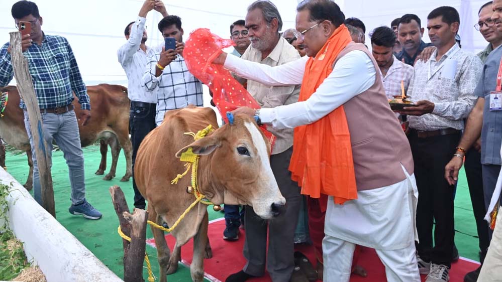 राज्य में गोधन संरक्षण को नई दिशा : गोमाता की पूजा-अर्चना कर CM साय ने ग्राम लाखासार में गौधाम का किया शुभारंभ