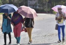 MP में 2 दिन की तेज गर्मी, 18-19 मार्च को बारिश, धूप से बचने घरों पर ग्रीन नेट,सड़कों पर छाई वीरानी