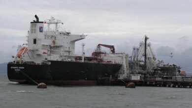 होर्मुज से नंदा देवी जहाज भारत लौटा, 47 हजार मीट्रिक टन LPG लेकर आया