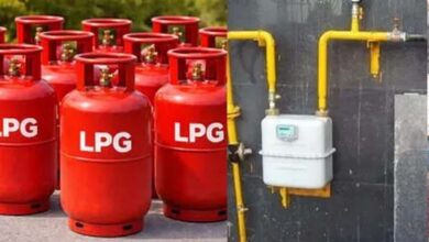 LPG बुकिंग में पैनिक न करें, 7 दिन में मिलेगा PNG कनेक्शन: सरकार का बयान