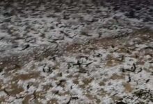 राजस्थान और MP में बारिश और ओले , हरियाणा में बारिश से सड़कों पर पानी,UK के गंगोत्री धाम में बर्फबारी