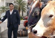 भोपाल गोमांस तस्करी केस में बड़ा अपडेट, असलम चमड़ा को मिली जमानत