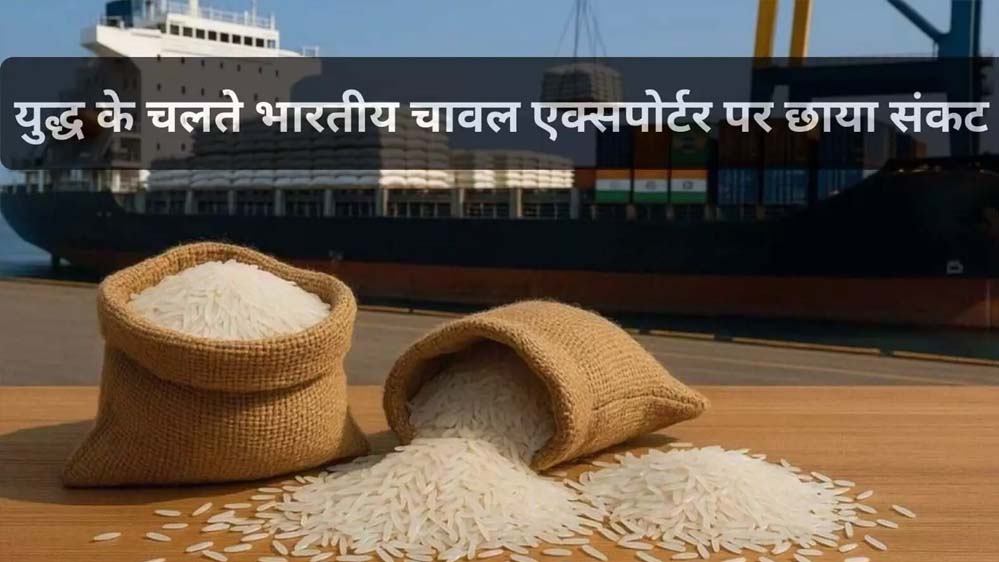 MP से बासमती का निर्यात ठप, समुद्र में फंसा चावल, किसानों और व्यापारियों की बढ़ी चिंता
