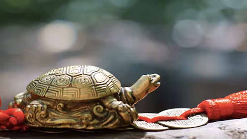 धातु का कछुआ घर में रखने से खुल सकते हैं तरक्की के रास्ते, जानें सही दिशा