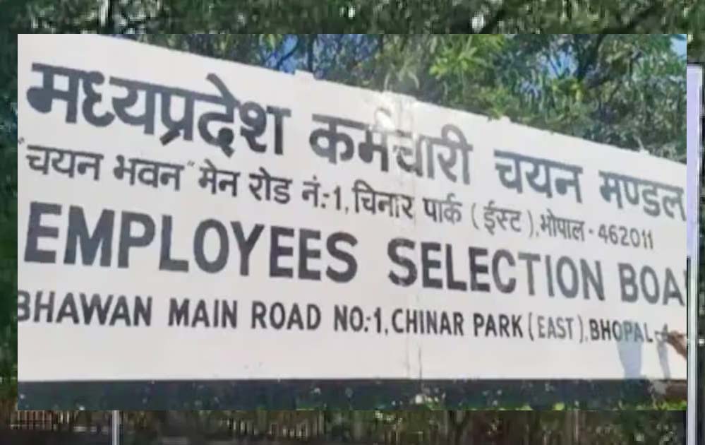 मध्य प्रदेश कर्मचारी चयन मंडल में 60% पद खाली, 187 में से केवल 73 कर्मचारी कार्यरत मध्य प्रदेश कर्मचारी चयन मंडल में 60% पद खाली, 187 में से केवल 73 कर्मचारी कार्यरत