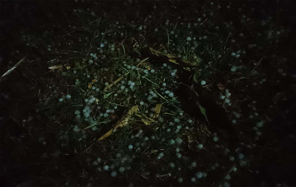 जरही में कुदरत का कहर, आंधी तूफान वा बारिश के साथ गिरे ओले जरही में कुदरत का कहर, आंधी तूफान वा बारिश के साथ गिरे ओले