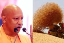योगी सरकार ने बढ़ाई गेहूं की MSP, 6500 केंद्रों पर कब से शुरू होगी खरीद?