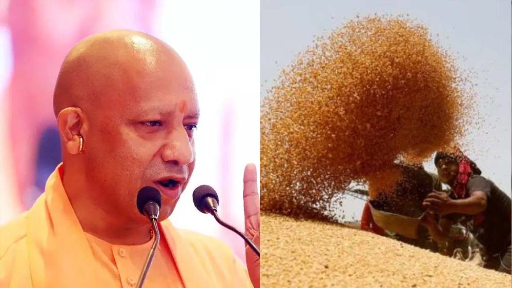 योगी सरकार ने बढ़ाई गेहूं की MSP, 6500 केंद्रों पर कब से शुरू होगी खरीद?