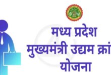 मेहनत और योजना का साथ, कविता दुबे ने खड़ा किया सफल व्यवसाय