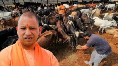 जर्मन टेक्नोलॉजी से लैस होंगी प्रदेश की गोशालाएं