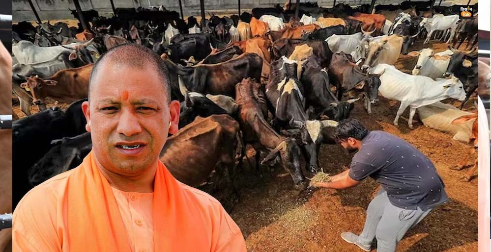 जर्मन टेक्नोलॉजी से लैस होंगी प्रदेश की गोशालाएं