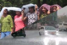 MP में मौसम का ड्रामा: पूर्वी हिस्से में बादल, कहीं तेज धूप, दो दिन आंधी-बारिश का अलर्ट