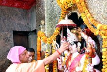 स्वदेशी गो-संवर्धन योजना में तेज प्रगति पर फोकस, सभी जिलों में बढ़ी रफ्तार