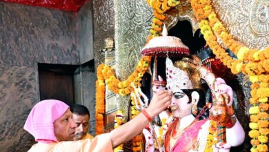 स्वदेशी गो-संवर्धन योजना में तेज प्रगति पर फोकस, सभी जिलों में बढ़ी रफ्तार