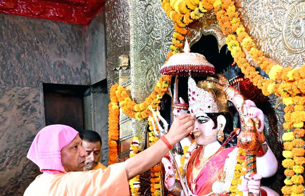 स्वदेशी गो-संवर्धन योजना में तेज प्रगति पर फोकस, सभी जिलों में बढ़ी रफ्तार