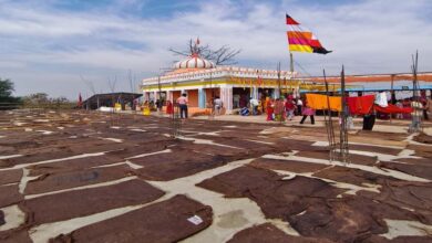 मां बिरासिनी धाम बिलासपुर में चैत्र नवरात्रि के नवमी के दिन श्रद्धा का उमड़ा सैलाब