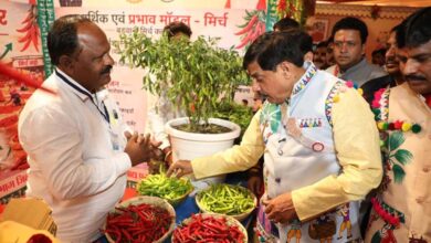 मुख्यमंत्री डॉ. यादव और कैबिनेट मंत्रियों ने निमाड़-मालवा के लोक देवता भीलट देव से सभी की समृद्धि के लिए की कामना