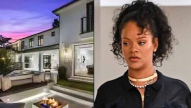 अमेरिकी पॉप स्टार रिहाना के घर पर 10 राउंड फायरिंग, बाल-बाल बचीं, आरोपी के खिलाफ कार्रवाई शुरू