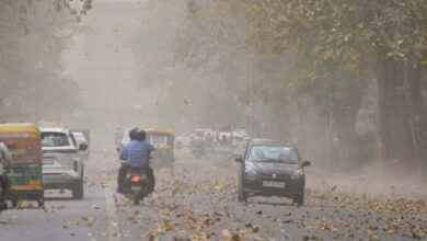 ग्वालियर-चंबल में ओले, भोपाल-जबलपुर में बारिश: MP के आधे हिस्से में अलर्ट, 5 दिन आंधी-बारिश का मौसम ग्वालियर-चंबल में ओले, भोपाल-जबलपुर में बारिश: MP के आधे हिस्से में अलर्ट, 5 दिन आंधी-बारिश का मौसम