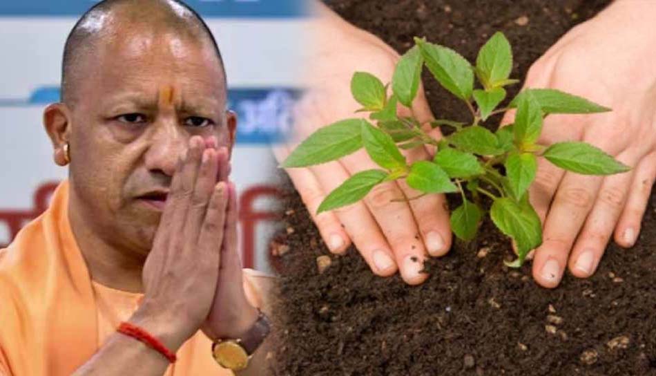 सर्वोत्तम के साथ यूपी को ‘हरित प्रदेश’ बनाने में जुटी योगी सरकार सर्वोत्तम के साथ यूपी को ‘हरित प्रदेश’ बनाने में जुटी योगी सरकार