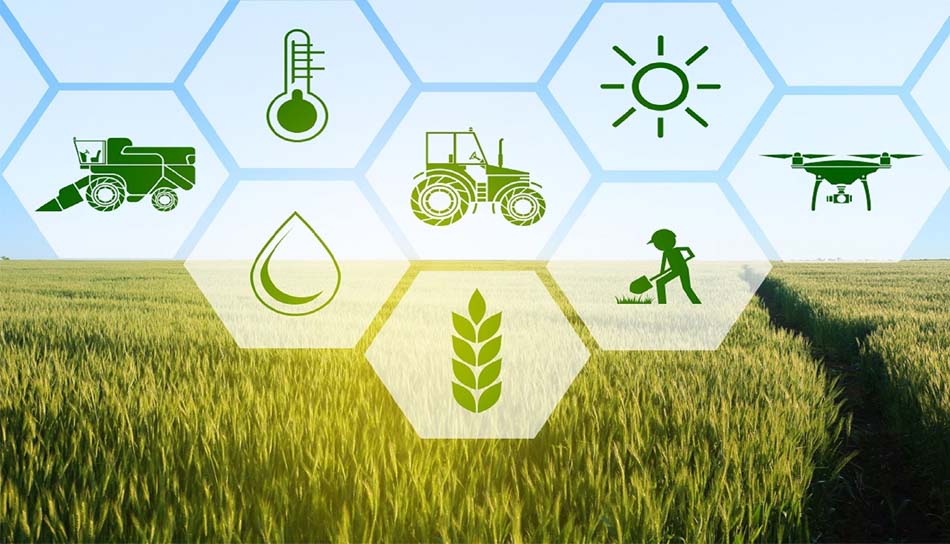 156 एग्री स्टार्टअप्स से प्रदेश के किसानों को मिल रही मदद, खेती में बढ़ रहा लाभ