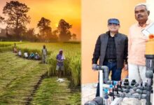 उद्यानिकी स्टोरी:पारंपरिक खेती से प्रगतिशील बागवानी तक का सफर