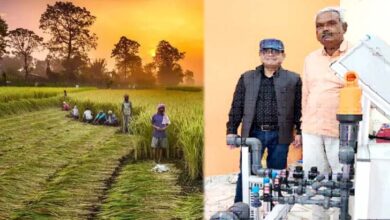 उद्यानिकी स्टोरी:पारंपरिक खेती से प्रगतिशील बागवानी तक का सफर