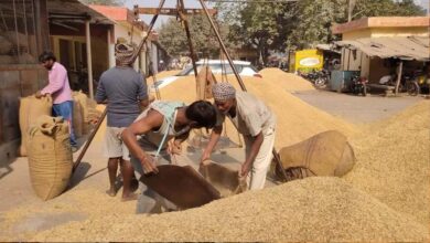 धान खरीद में छत्तीसगढ़ का ‘डेटा-संचालित मॉडल’, एआई तकनीक से बनी मिसाल धान खरीद में छत्तीसगढ़ का ‘डेटा-संचालित मॉडल’, एआई तकनीक से बनी मिसाल