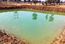 राष्ट्रीय ग्रामीण रोजगार गारंटी योजना: मजबूत हुई आजीविका की राह