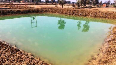 राष्ट्रीय ग्रामीण रोजगार गारंटी योजना: मजबूत हुई आजीविका की राह