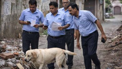 MP में अजीब मामला: छुट्टी लेकर 8 दिन तक कुत्ता खोजते रहे भेल कर्मचारी, अफसरों को पड़ा भारी पंगा