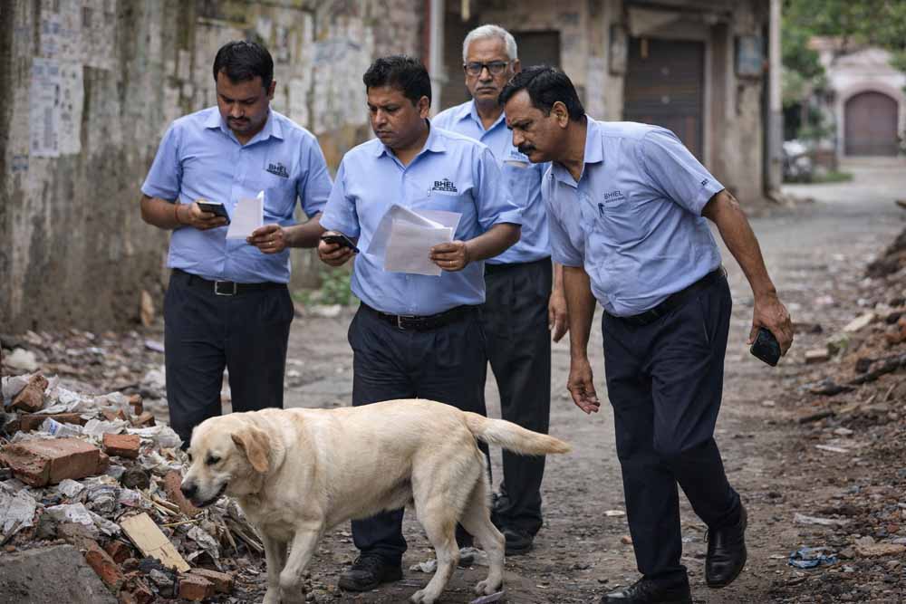 MP में अजीब मामला: छुट्टी लेकर 8 दिन तक कुत्ता खोजते रहे भेल कर्मचारी, अफसरों को पड़ा भारी पंगा MP में अजीब मामला: छुट्टी लेकर 8 दिन तक कुत्ता खोजते रहे भेल कर्मचारी, अफसरों को पड़ा भारी पंगा