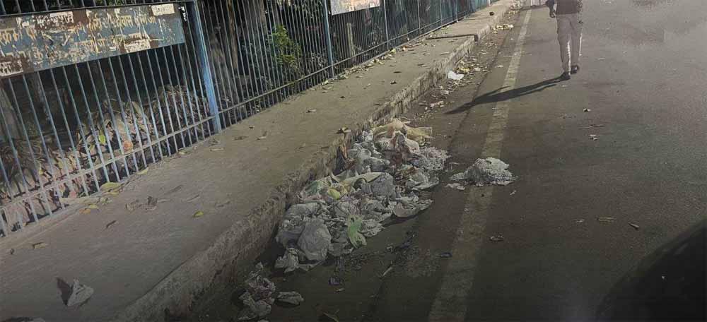 326 सफाईकर्मी तैनात, फिर भी भोपाल के बाजारों में गंदगी का अंबार 326 सफाईकर्मी तैनात, फिर भी भोपाल के बाजारों में गंदगी का अंबार