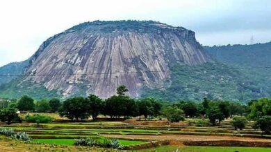 उत्तर-पूर्वी छत्तीसगढ़ का अनोखा पर्यटन: जशपुर के चाय बागान और सोगड़ा आश्रम की खूबसूरती