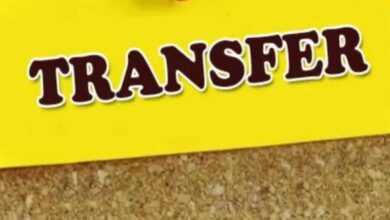 अवैध अफीम खेती पर एक्शन का असर: बलरामपुर में 58 पटवारियों का एक साथ तबादला, प्रशासन में हड़कंप