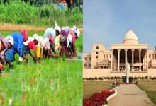 16 लाख किसानों ने किया रकबा समर्पण, विधानसभा में मंत्री बघेल ने दी जानकारी