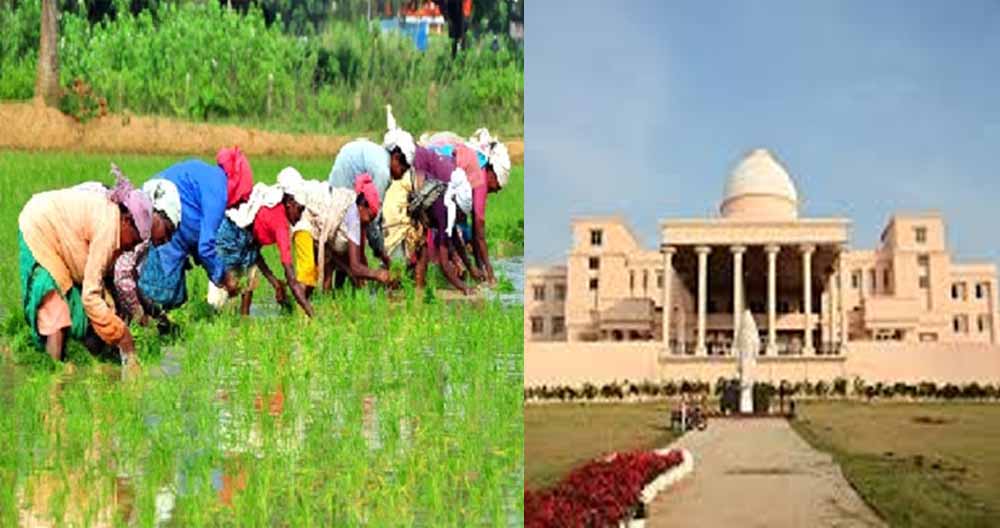 16 लाख किसानों ने किया रकबा समर्पण, विधानसभा में मंत्री बघेल ने दी जानकारी