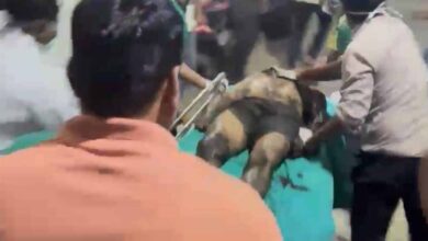 रायपुर हादसा: सेप्टिक टैंक की सफाई के दौरान 3 सफाईकर्मियों की मौत, परिजनों का जोरदार हंगामा