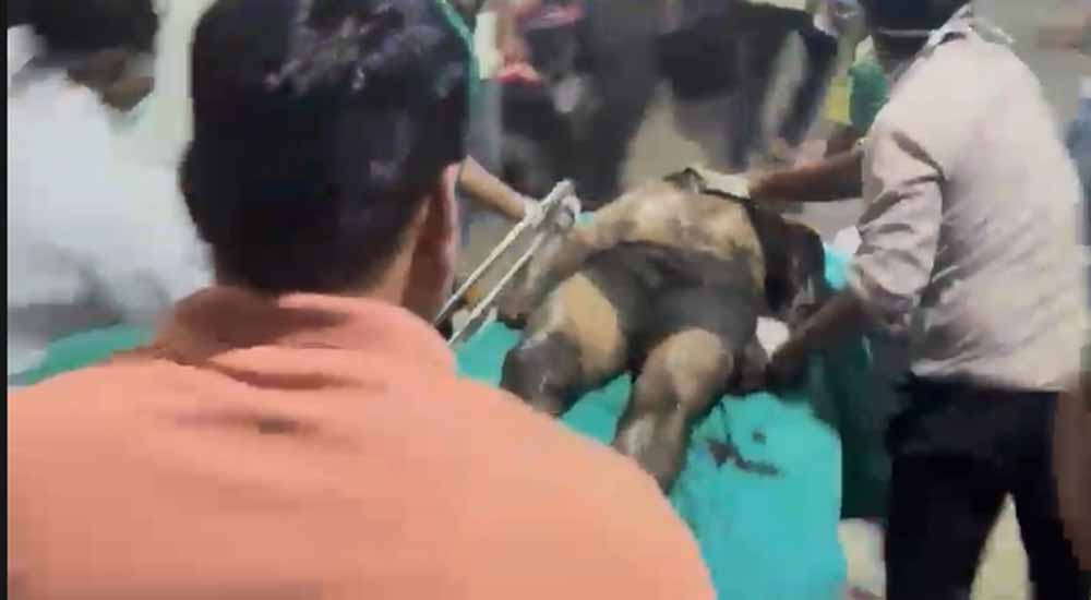 रायपुर हादसा: सेप्टिक टैंक की सफाई के दौरान 3 सफाईकर्मियों की मौत, परिजनों का जोरदार हंगामा