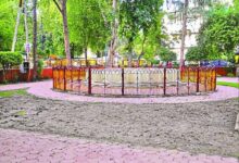 दुर्ग को मिलेगा हरियाली का तोहफा: 2 करोड़ की लागत से बनेंगे 4 नए उद्यान