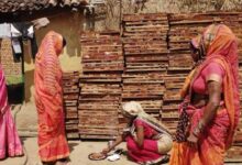 सेंट्रिंग प्लेट व्यवसाय से बढ़ी आय, ‘बिहान’ योजना से धमतरी की ग्रामीण महिलाएं हुईं सशक्त