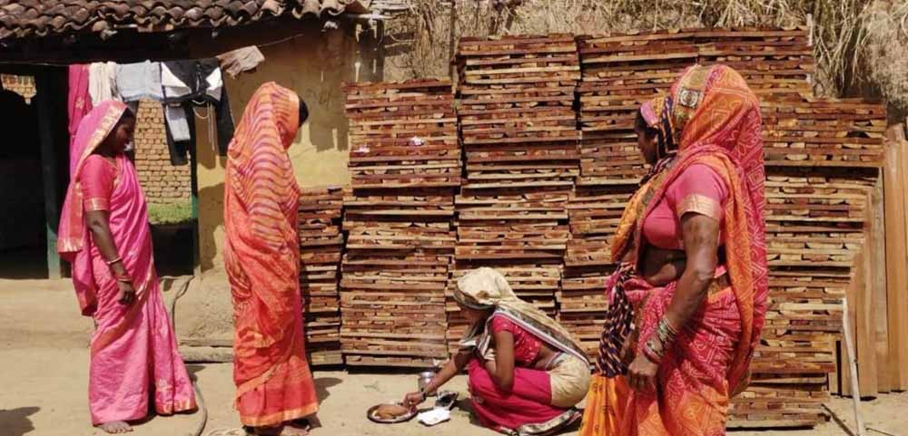 सेंट्रिंग प्लेट व्यवसाय से बढ़ी आय, ‘बिहान’ योजना से धमतरी की ग्रामीण महिलाएं हुईं सशक्त