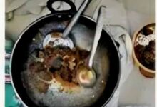 बिलासपुर जंगल रिसॉर्ट में छापा: हिरण का मांस पकाते मैनेजर समेत 4 गिरफ्तार