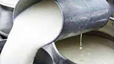 आंध्र प्रदेश में मिलावटी दूध का कहर जारी: अब तक 16 मौतें, 3 की हालत गंभीर