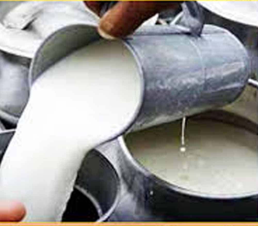 आंध्र प्रदेश में मिलावटी दूध का कहर जारी: अब तक 16 मौतें, 3 की हालत गंभीर