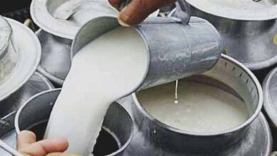 भोपाल-इंदौर में दूध महंगा: 1 अप्रैल से होम डिलीवरी पर 3 रुपये प्रति लीटर बढ़े दाम