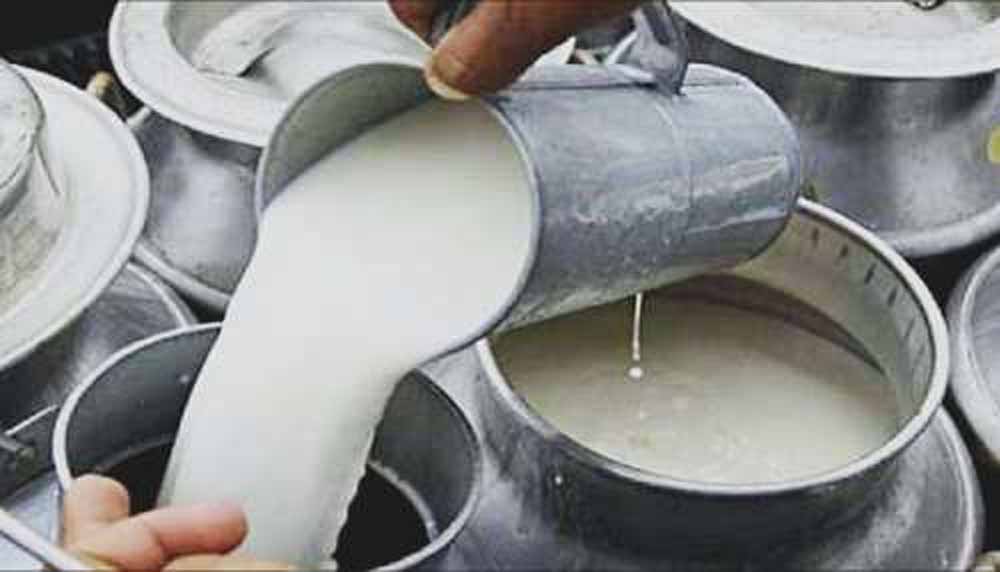 भोपाल-इंदौर में दूध महंगा: 1 अप्रैल से होम डिलीवरी पर 3 रुपये प्रति लीटर बढ़े दाम
