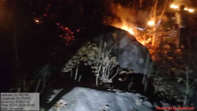 वन विभाग की तत्परता से टली बड़ी वन क्षति