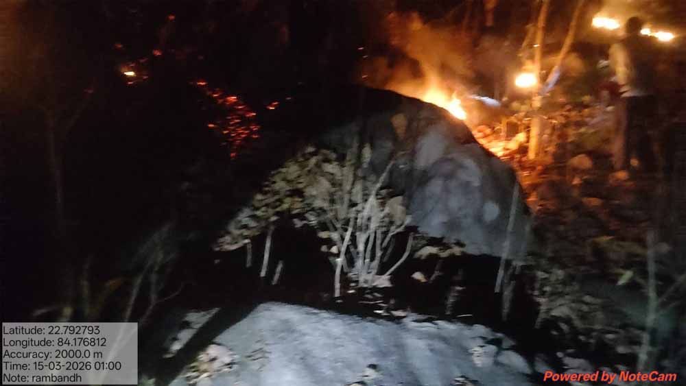 वन विभाग की तत्परता से टली बड़ी वन क्षति