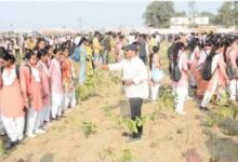 सीएम योगी के मार्गदर्शन में काशी ने बनाया गिनीज वर्ल्ड रिकॉर्ड्स